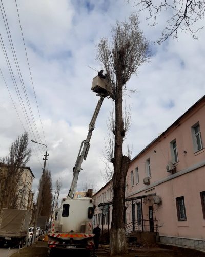 Уборка участков, спил деревьев, измельчение веток, услуги экскаватора, демонтаж зданий, земельные работы в Киеве и Киевской области
